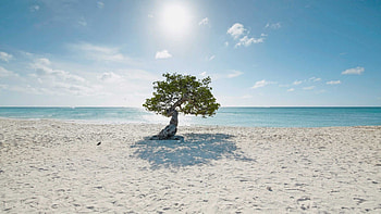 Aruba Island, Scenic , backgrounds, perfect HD wallpaper