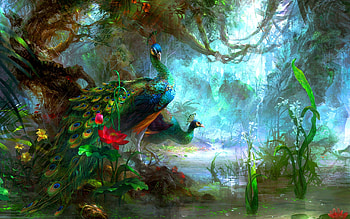 Peacocks, blue, frumusete, bird, exotic, gorgeous, superb, pink, paun, fantasy, flower, green, luminos, peacock, pasari, water, lotus HD wallpaper