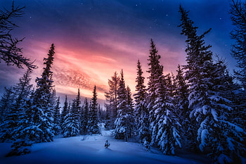 Winter sunset, tree, adorable sky HD wallpaper