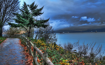 Sea, Nature, Ships, Park, Fence, Mainly Cloudy, Overcast, Hedge HD wallpaper