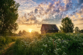 *, clouds, trees, nature, field HD wallpaper