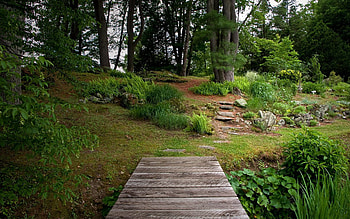 Nature, Wood, Wooden, Vegetation, Greens, Bridge, Garden HD wallpaper