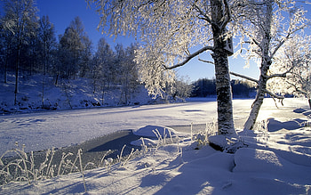 Landscape, Winter, Trees, Sun, Snow HD wallpaper