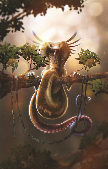 Art, Cobra, Glare, Wood, Tree, Branch, Snake HD phone wallpaper