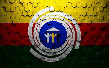 Flag of Araguaina, honeycomb art, Araguaina hexagons flag, Araguaina, 3d hexagons art, Araguaina flag HD wallpaper