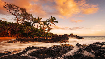 Tropical paradise sunset on Maui, Hawaii, coast, palm trees, sea, clouds, colors, sky, rocks HD wallpaper