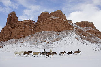 Wyoming, Animals, Sky, Horses, Snow, America, Plateau, Cowboy HD wallpaper
