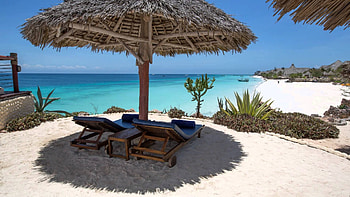 World tours and safaris, Tanzania adventures, Private group experiences, Authentic travel HD wallpaper