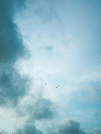 Sky, love, bird, bluesky, birds HD phone wallpaper