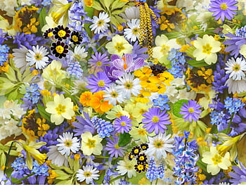 A colorful assortment of spring flowers, showcasing a vivid mix of colors and blooms. HD wallpaper