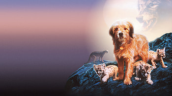 Benji: The Hunted — HD wallpaper