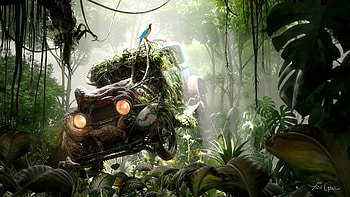 Art, Parrots, Car, Machine, Old, Jungle, Abandoned HD wallpaper