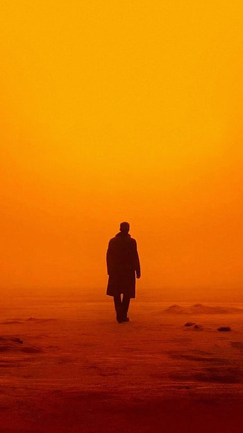 Blade Runner 2049 , Stylish backgrounds, Cyberpunk aesthetic, Dynamic ry HD phone wallpaper