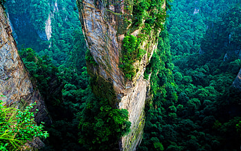 China, jungle, rocks, mountains, summer, beautiful nature, R HD wallpaper