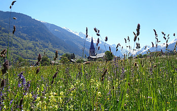 Church in Alpine Meadow, Switzerland, bentgrass, meadow, church, mountains HD wallpaper