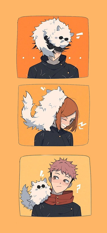 Jujutsu Kaisen, Cats, Anime HD phone wallpaper