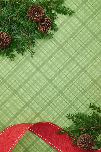 Holidays, Cones, New Year, Christmas, Branches, Ribbon, Ribbons HD phone wallpaper