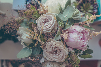 Flowers, Roses, Registration, Typography, Bouquet, Composition HD wallpaper