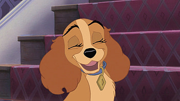 Lady and the Tramp, Scamp's adventure, Animation screencaps, Disney fairies HD wallpaper