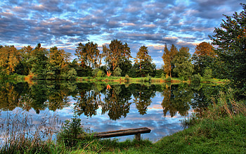 Germany, Nature, Trees, Grass, Sky, Lake HD wallpaper