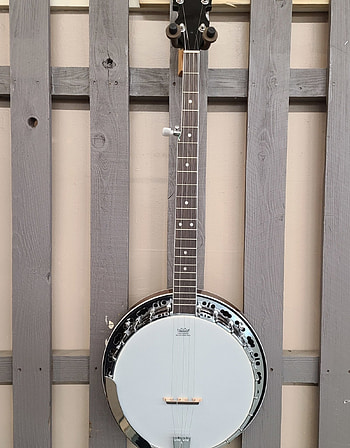 Washburn b 11 americana, 5 string banjo, Backwoods guitar llc, Banjo music HD phone wallpaper