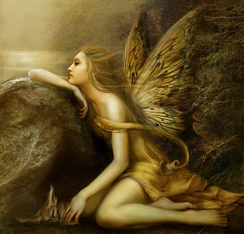 Daydreaming, fairy, river, abstract, fantasy, cat, forest HD wallpaper