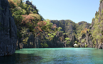 philippines, cliff, lagoon, tree HD wallpaper