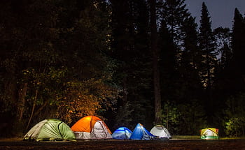 A peaceful campsite with tents illuminated under a night sky in a tranquil forest. HD wallpaper