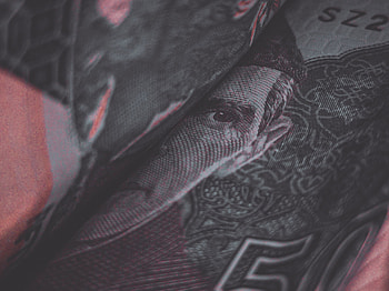 Money, wealth, denim, magenta, amoled, truth, pakistan, reality, quead HD wallpaper