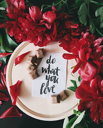 Chocolate, Peonies, Words, Inscription, Text HD phone wallpaper