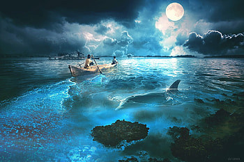 Sea lights, boat, sea, children, dolphin, summer, fantasy, moon, lulebel, luna, luminos, water, cloud HD wallpaper