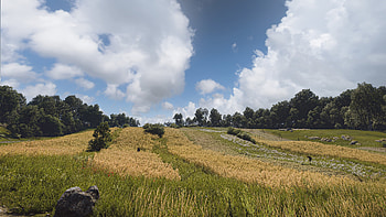 Kingdom Come: Deliverance II HD wallpaper