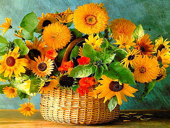 Still life, beautiful, orange, nice, basket, sunflowers, pretty, yellow, flowers, lovely, harmony HD wallpaper
