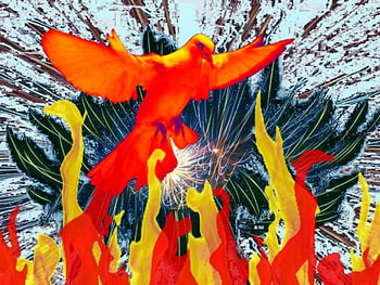 Phoenix, colourful, abstract, fantasy HD wallpaper
