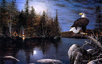 ღ.Eagle at Night.ღ, night, river, eagle, camping, reflections, scenery, paintings animals, animals, trees, tent, attractions in dreams, magnificent, forests, paintings, love four seasons, branches, nature, lovely HD wallpaper