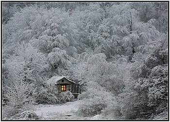 Winter Wonderland, frost, hideaway, house, cold, beautiful, cabin, season, snow, lights, solitary, trees, shack, romantic, solitude, home HD wallpaper