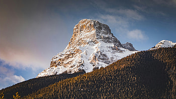 Majestic Mount Loughead Near Canmore, mountains, mountain, snow, trees, tree, sky, blue, nature HD wallpaper