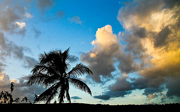 Anguilla, Sunset, island, anguilla, palm, caribbean, nature, sunset HD wallpaper