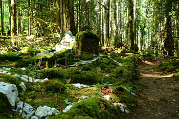 Salt Spring Island, Canada travels, Kid-friendly activities, Family fun HD wallpaper