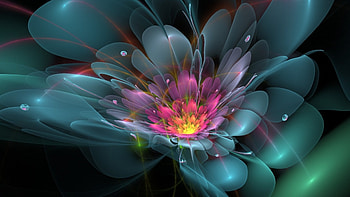 Fractal Flower, drops, line, flowers, petals HD wallpaper