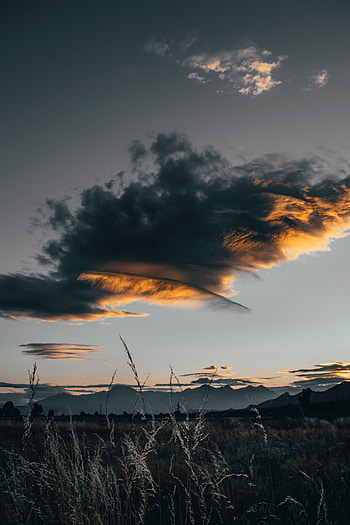 Nature, Sunset, Grass, Twilight, Clouds, Field, Dusk HD phone wallpaper
