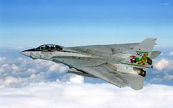 Grumman F-14 Tomcat HD wallpaper