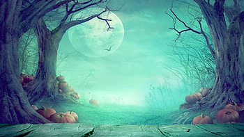 •ღ✿ღ•, halloween, moon, fantasy, art HD wallpaper