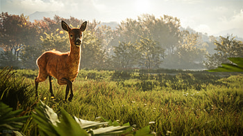 The Hunter Call Of The Wild, the-hunter-call-of-the-wild, games HD wallpaper