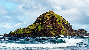 Nature, Waves, Rock, Moss, Lump HD wallpaper