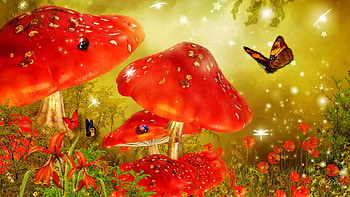 Fairytale world, rays, fairytale, colorful, amimals, nice, butterflies, magic, paradise, meadow, beautiful, grass, mushrooms, fresh, ffield, fantasy, pretty, world, lovely HD wallpaper
