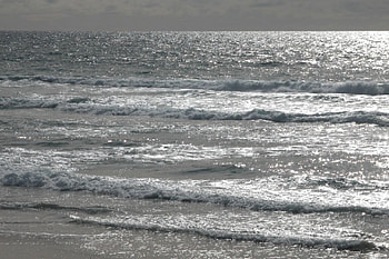 Venice Beach , nature, landscaps, beach HD wallpaper