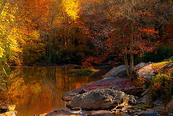 Fall Reflections, Reflections, forest, lake, Fall HD wallpaper
