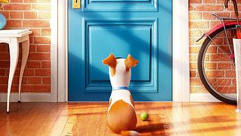 The Secret Life of Pets (2022) movie HD wallpaper