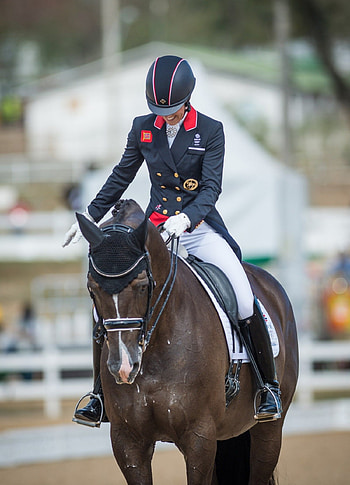 2016 Rio Olympic Games, Dressage HD phone wallpaper